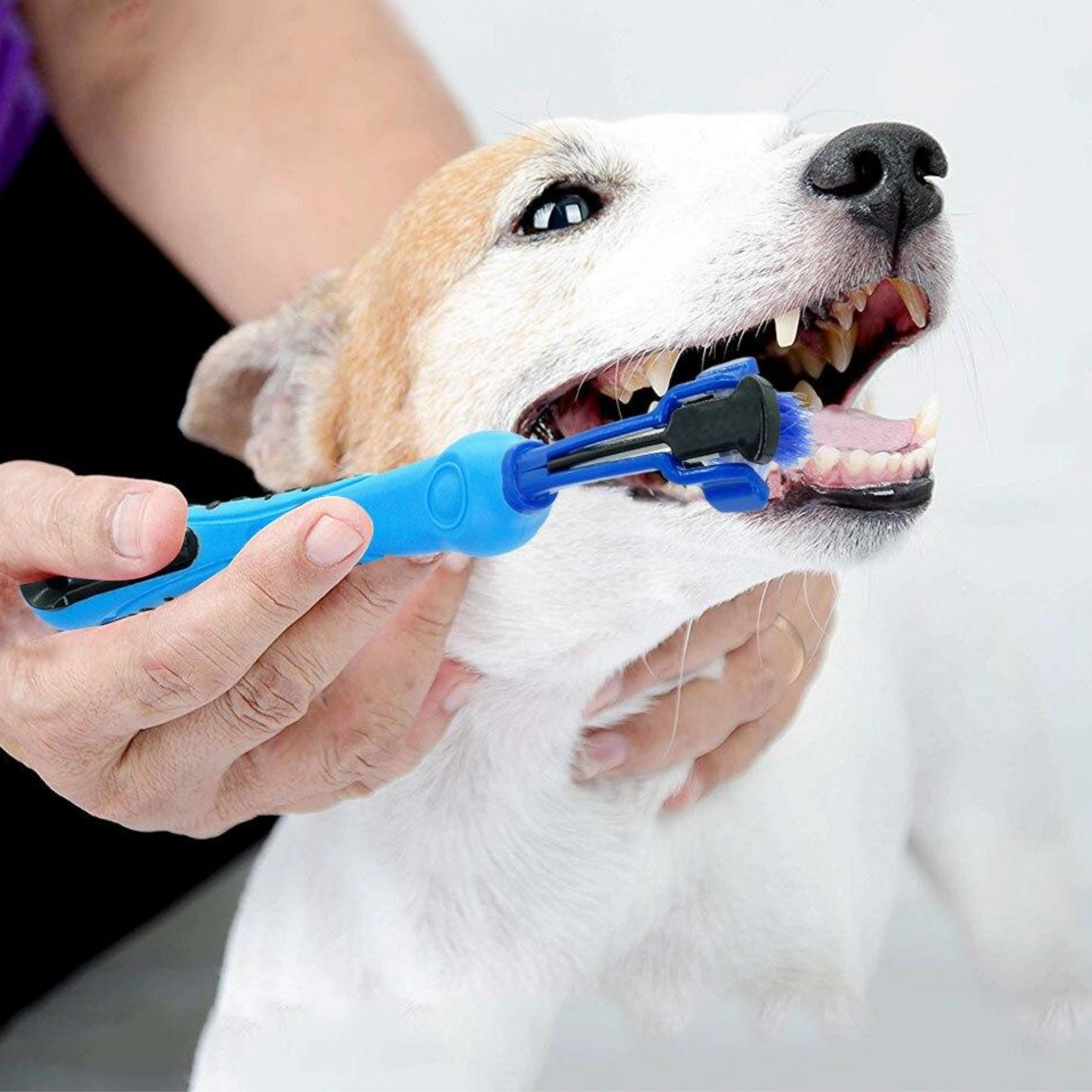 Three-Sided Dog Toothbrush - Wet Nose Buddy