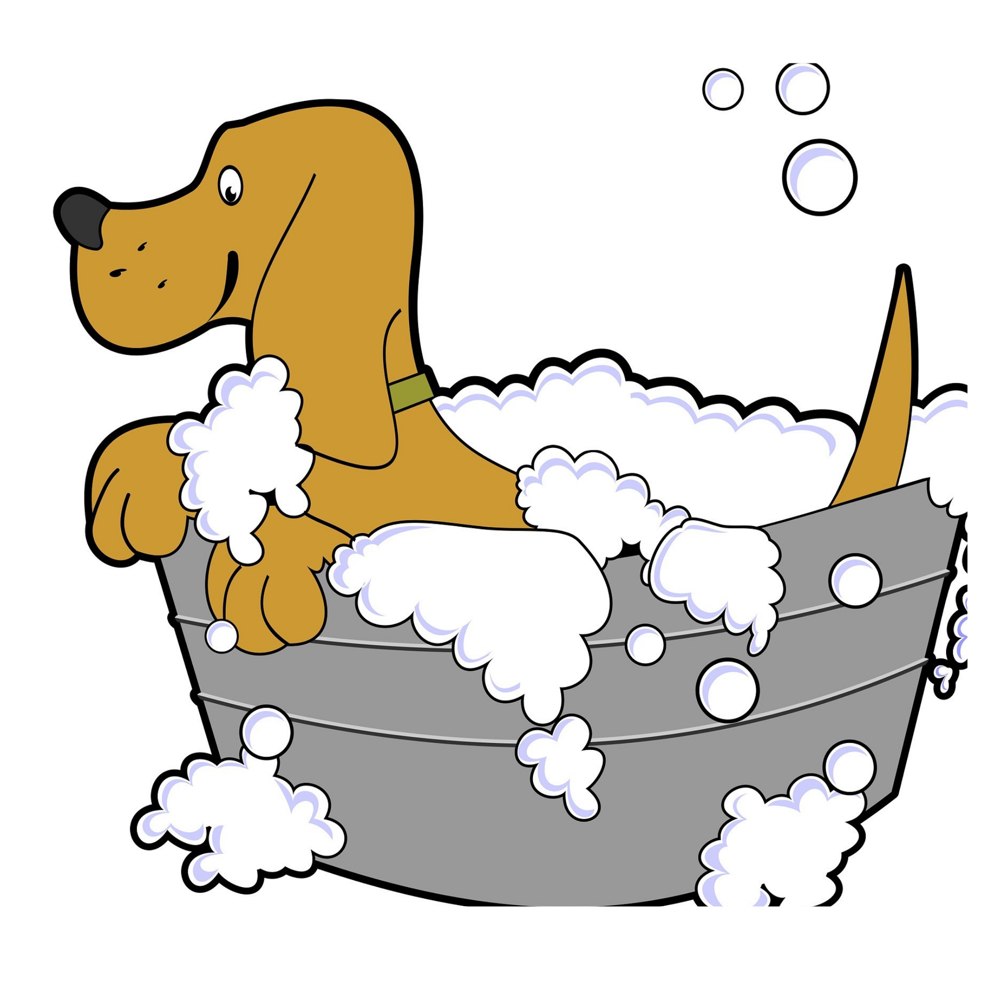 Super Absorbent Dog Bathrobe