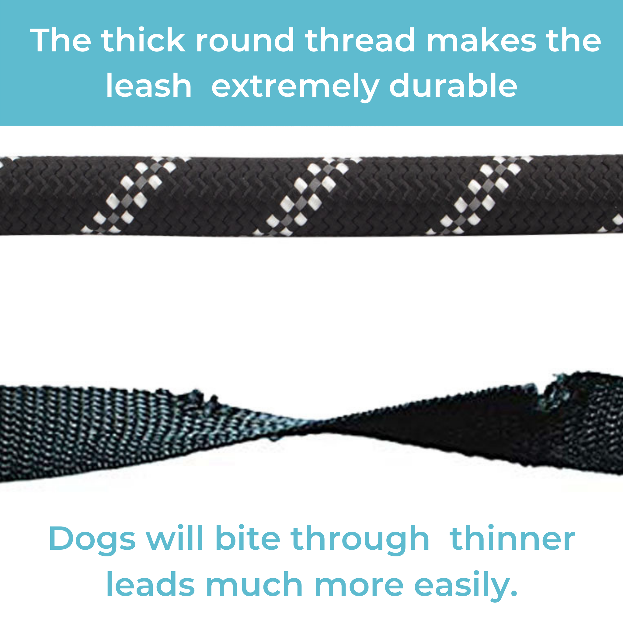 Reflective Dog Lead (5ft) - Wet Nose Buddy